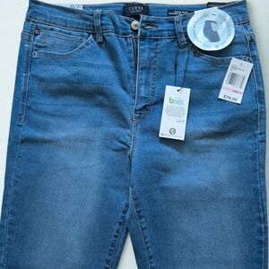 Curve Appeal Women's Skinny Jeans in Blue